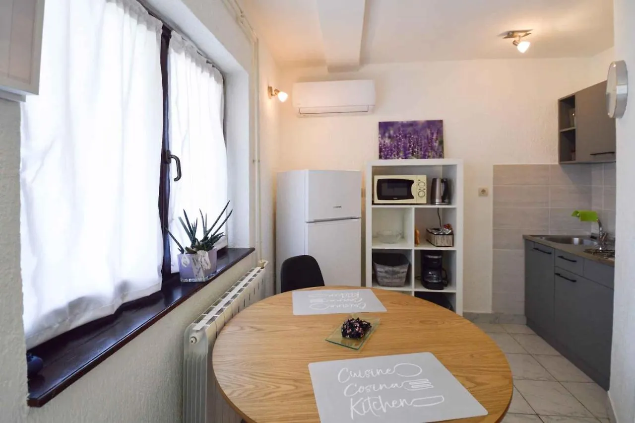 Apartamento Studio In Pjescana Uvala/Istrien 11044